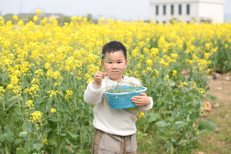 1湖畔幼兒園.JPG