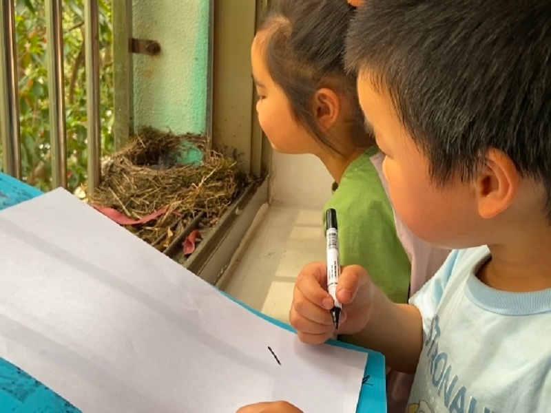 浣紗幼教集團(tuán)耀江幼兒園觀察小鳥投稿.JPG