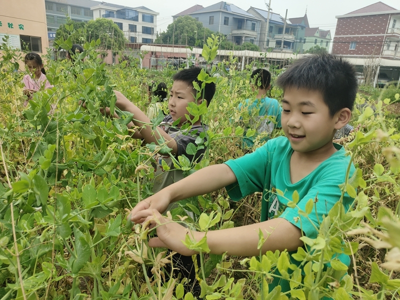 微信圖片_20250424130913.jpg